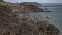 Aktivitas Taal Volcano yang meningkat sejak akhir pekan lalu membuat warga yang tinggal di sekitar gunung api tersebut dievakuasi ke tempat yang lebih aman. AP Photo/Basilio Sepe.