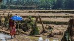 Penampakan Sawah Rusak Usai Diterjang Banjir Bandang di Lebak