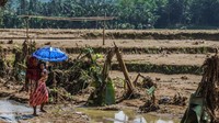 Dinas Pertanian dan Perkebunan (Distanbun) Kabupaten Lebak mencatat 891 hektare areal persawahan di enam kecamatan rusak dan dipenuhi endapan lumpur akibat diterjang banjir bandang pada hari Rabu (1/1) lalu.