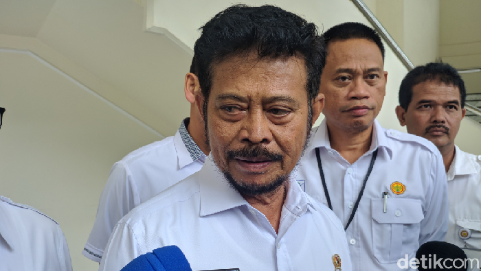 Menteri Pertanian (Mentan) Syahrul Yasin Limpo (Jefrie Nandy/detikcom)