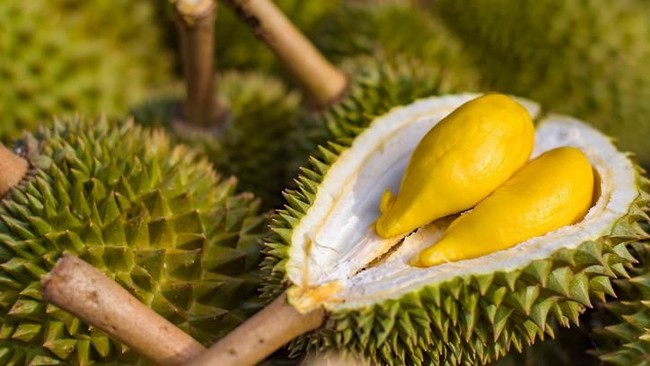 Ini 5 Durian Termahal di Dunia, Harganya Ada yang Setara Mobil Mewah!