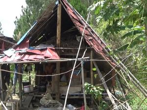 Miris! Pasutri Lansia Hidup di Gubuk Reyot Dekat Kantor Bupati Mamasa