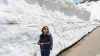 Uniknya lagi, tebing ini hanya ada pada bulan April hingga Juni. Padahal waktu-waktu tersebut adalah musim semi di Jepang. (iStock)