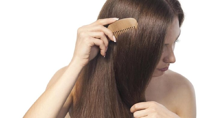 Ilustrasi rambut tebal Young brunette lady combing her beautiful long hair. isolated white