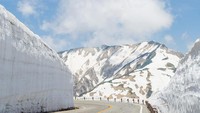 Karena keunikannya ini, Tateyama Kurobe Alpine Route disebut-sebut sebagai jalan terindah dunia. Jalan ini tak melulu ditutupi tebing es dikedua sisinya. (iStock)