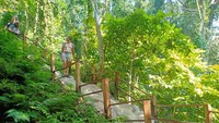 Apabila ingin lebih, traveler juga bisa trekking dari puncak air terjun menuju sumber air dan Kuil Nam Phu Chet Si di dalam hutan. Dipercaya, kalau air di sana memiliki khasiat baik untuk penyembuhan karena kadar mineralnya yang tinggi (Facebook)