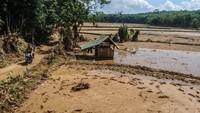 Warga melintas di areal persawahan yang rusak diterjang banjir bandang di Kampung Cimenteng, Lebak, Banten, Selasa (14/1/2020).
