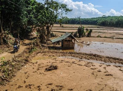 Penampakan Sawah Rusak Usai Diterjang Banjir Bandang di Lebak
