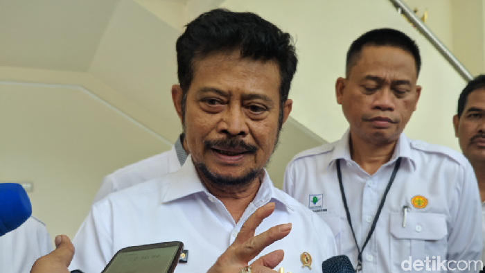 Menteri Pertanian (Mentan) Syahrul Yasin Limpo (Jefrie Nandy/detikcom)