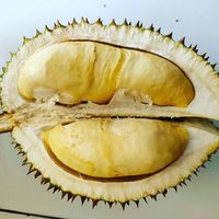 5 Durian Asli Jawa Tengah Ini Bikin Pencinta Durian Ketagihan