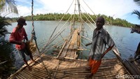 Wisatawan yang berkunjung pun bisa membeli langsung ikan segar hasil tangkapan jaring jodang tersebut. Kebanyakan ikan tangkapannya adalah ikan balanak, mangmung dan lainnya.  (Faizal Amiruddin/detikcom)