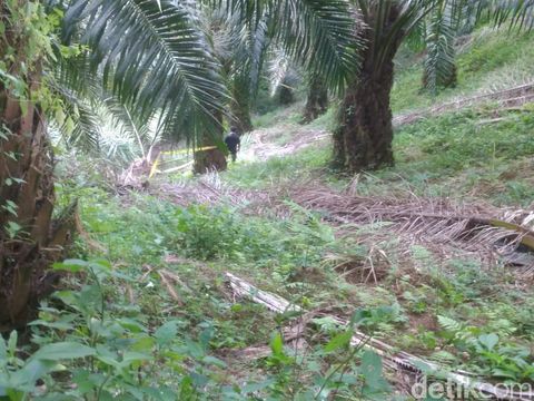 Detik-detik Mencekam Zuraida Bunuh Hakim Jamaluddin yang Tidur Bareng Anak