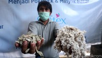 Sebagai salah satu produsen pembalut dan popok terbesar di Indonesia, PT Softex Indonesia berkomitmen mendaur ulang popok bekas pakai menjadi sesuatu yang fungsional dan bernilai. Mereka mengolah popok bekas menjadi pokbrick (batu bata dari bahan popok bekas) dan minyak bakar sebagai substitusi minyak tanah.