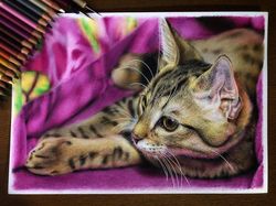 15 Gambar Kucing Super Realistis yang Bikin Pangling
