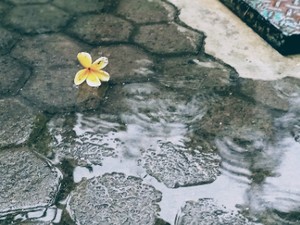 Pesona di Kala Rintik Hujan
