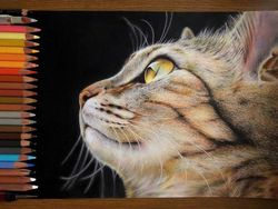 15 Gambar Kucing Super Realistis yang Bikin Pangling