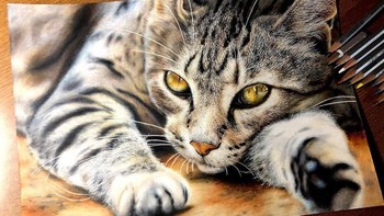 Ketika menggambar, Kudo hanya mengandalkan pensil warna. Foto: Haruki Kudo/Bored Panda