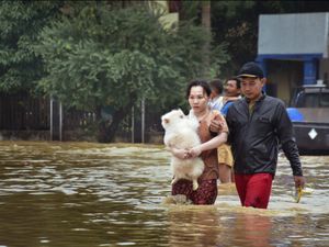 Dog Rescue