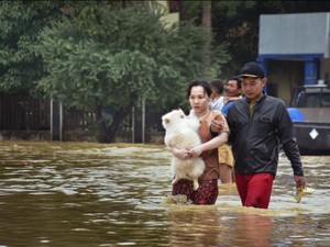 Dog Rescue