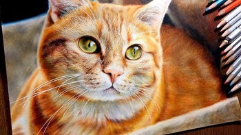 Walau usianya masih 18 tahun, bakatnya sudah sangat terlihat dari karya-karyanya yang sangat realistis. Foto: Haruki Kudo/Bored Panda