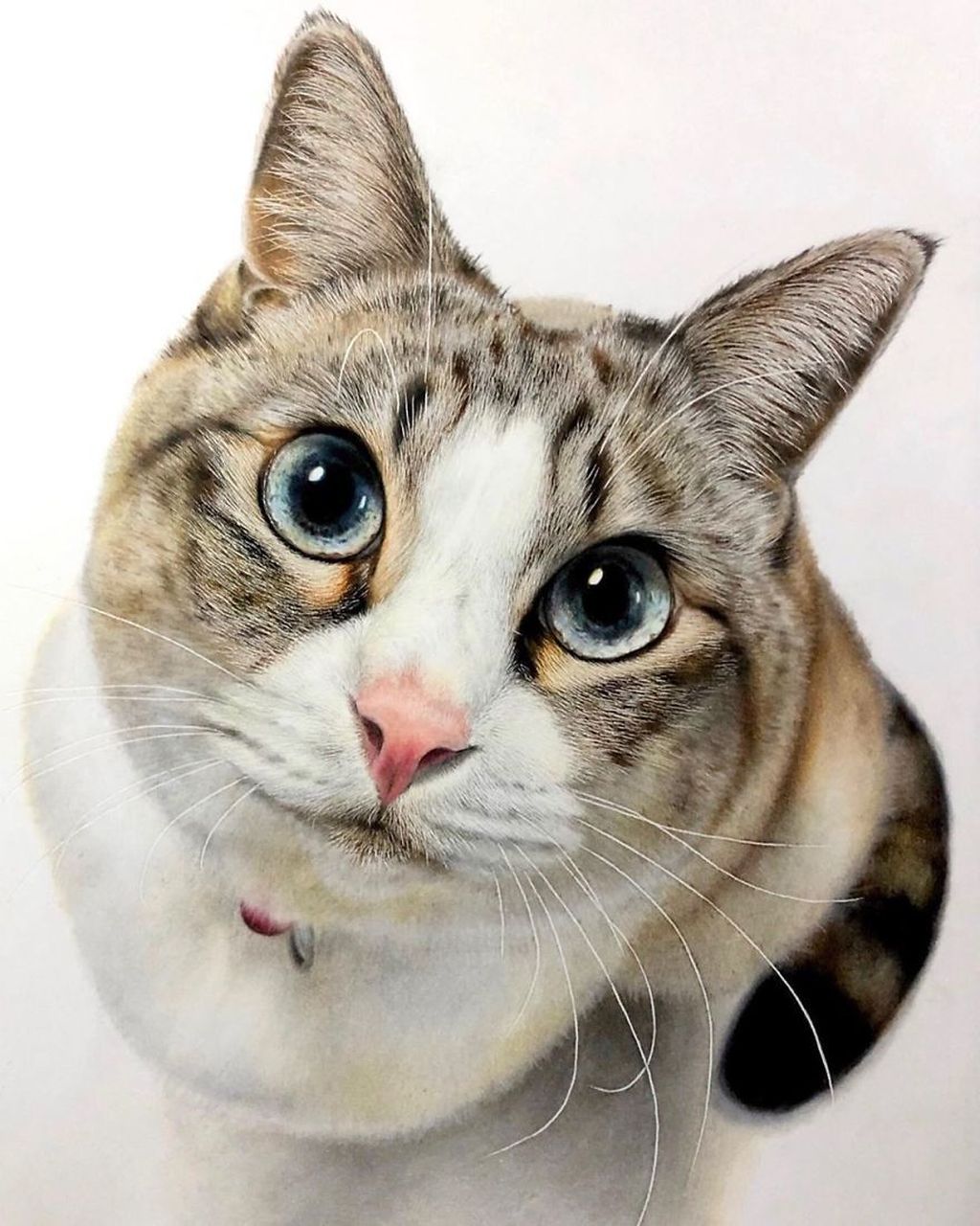 15 Gambar Kucing Super Realistis Yang Bikin Pangling