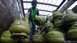 Siap-siap! Subsidi Elpiji 3 Kg Bakal Dicabut