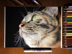 15 Gambar Kucing Super Realistis yang Bikin Pangling