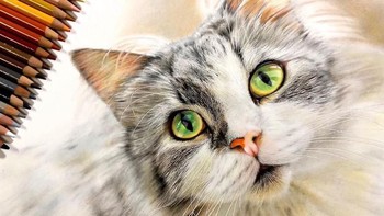 Hasil gambar seperti ini merupakan seni bergaya hiperrealisme. Foto: Haruki Kudo/Bored Panda