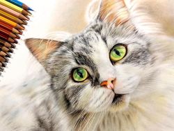 15 Gambar Kucing Super Realistis yang Bikin Pangling