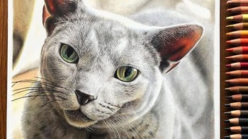 Karena merasa senang dengan hasilnya, ia pun tertarik untuk melanjutkan hobinya. Foto: Haruki Kudo/Bored Panda