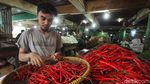 Harga Cabai Pedas Banget
