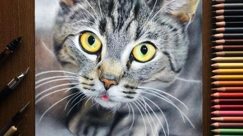 Blep! Lucu banget lidahnya keluar. Foto: Haruki Kudo/Bored Panda