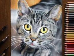 15 Gambar Kucing Super Realistis yang Bikin Pangling
