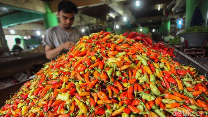 Harga Cabai Naik Harga cabai di Pasar Jembatan Lima, Jakarta Barat masih mahal, Kamis (16/1/2020). Di pasar ini harga cabai kriting dan cabai merah besar mencapai 80 ribu rupiah.