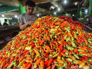Gejolak Cabai Rawit (Jangan) Bikin Panik
