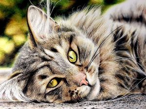 15 Gambar Kucing Super Realistis yang Bikin Pangling
