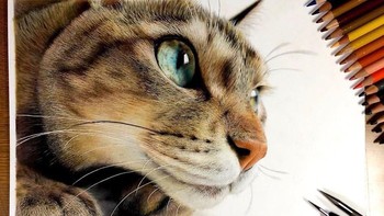 Kudo mengaku pertama kali menggambar dua tahun yang lalu. Foto: Haruki Kudo/Bored Panda