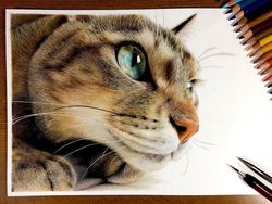 15 Gambar Kucing Super Realistis yang Bikin Pangling