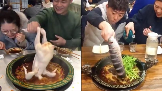 Bawa Ayam Mentah ke Resto Hot Pot hingga Temuan Ikan Kerapu 158 Kg