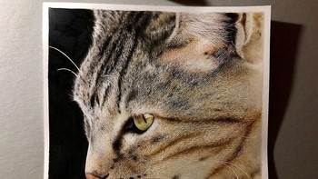 Sekilas, karya Kudo terlihat seperti foto dengan resolusi tinggi. Foto: Haruki Kudo/Bored Panda