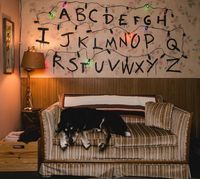 Menginap di Dunia 'Stranger Things', Mirip Seperti Asli