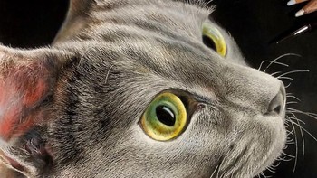 Tapi begitu dilihat lebih dekat dan mendetail, baru disadari bahwa yang dilihat adalah hasil gambar, bukan foto. Foto: Haruki Kudo/Bored Panda