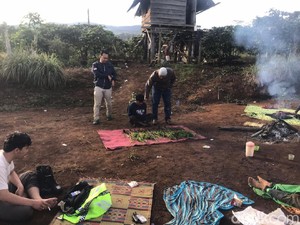 Polisi Temukan 3 Hektare Ladang Ganja di Hutan Lindung Pagaralam