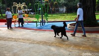 Taman dimanfaatkan warga untuk sejumlah kegiatan, mulai olehraga hingga bersantai.