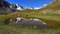 Bukan cuma keindahan arsitektur kuno, alam Uzbekistan pun begitu cantik. Ada pegunungan hingga padang pasir yang disuguhkan kepada wisatawan yang mau menjelajahi Uzbekistan. (iStock)