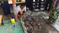 Saat makam itu dibongkar terlihat ada kendil (periuk) dari tanah liat. 