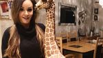 Mantan Make-up Artist Ini Bikin Kue Binatang 3D yang Super Nyata!
