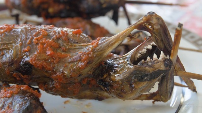 Populer Jadi Makanan Enak, Daging Kelelawar Laris Manis di 5 Negara Ini