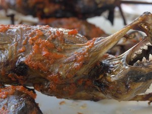 Populer Jadi Makanan Enak, Daging Kelelawar Laris Manis di 5 Negara Ini