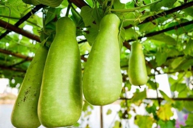 Tak Boleh Dilanggar! 5 Pantangan Makan Bagi Pemakai Susuk